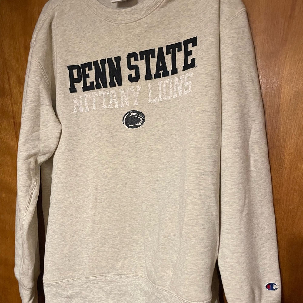 Champion Gray Penn State Nittany Lions Men's Sweater large (new)